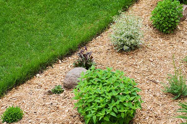 DEKOMULCH Copeaux de Bois et Paillage Naturel pour Jardins